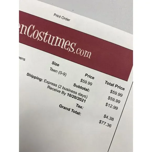 Sweet Raccoon Halloween Costume - Picture 5 of 10